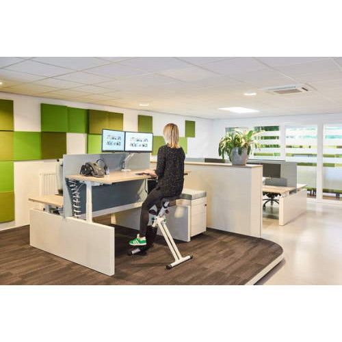 ErgoDeskBike Basic 2.0