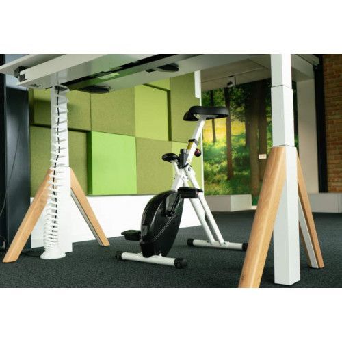 ErgoDeskBike Basic 2.0