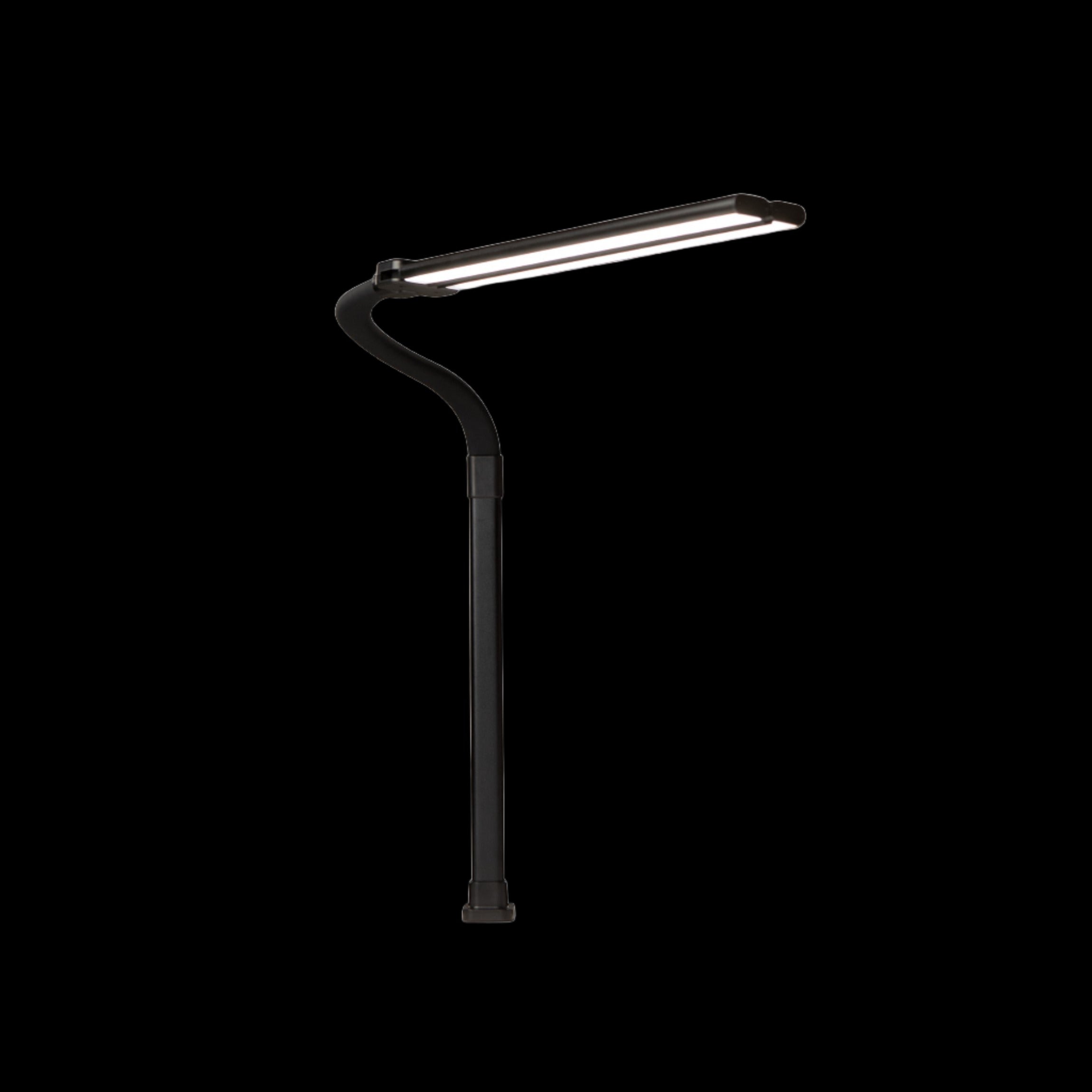 Black DUO LED desk lamp with adjustable dual light heads ideal for workspace illumination.